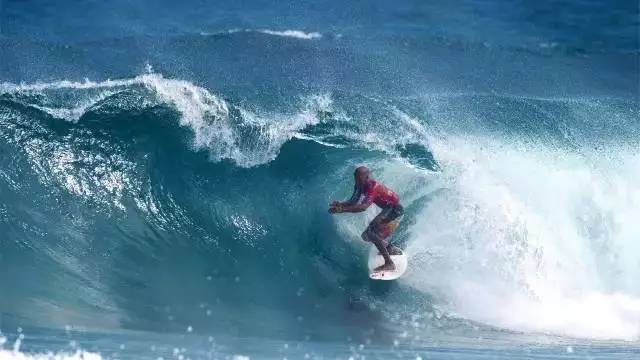 幸福指数最高晚年生活本应如此EVO视讯真人新西兰退休生活(图17)