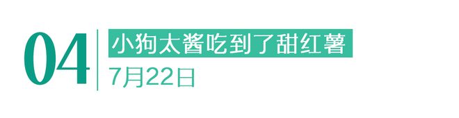 有停在原地｜GoodnewsEVO视讯真人7月我们都没(图7)