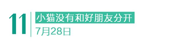 有停在原地｜GoodnewsEVO视讯真人7月我们都没(图13)