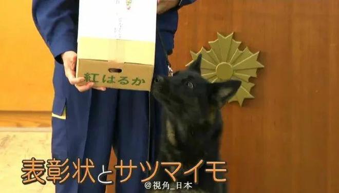 有停在原地｜GoodnewsEVO视讯真人7月我们都没(图21)