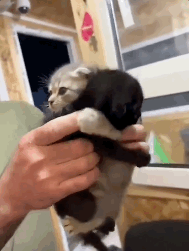 有停在原地｜GoodnewsEVO视讯真人7月我们都没(图23)